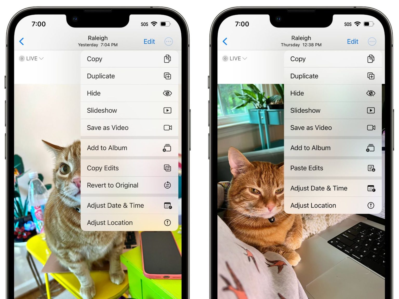 How to Paste Something on iPhone? - Tech Instructs