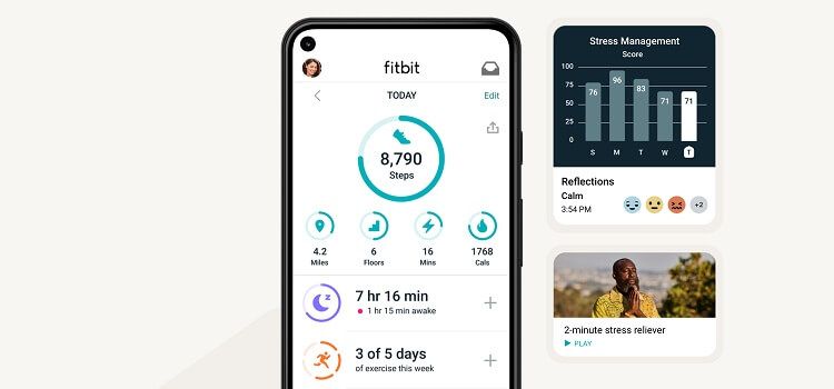 Download the Fitbit App
